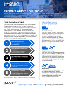 LP Freight Audit Solutions Flyer Thumbnail