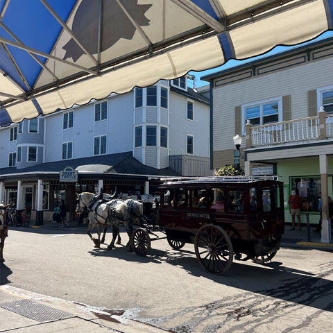 Horse taxis