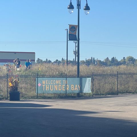 Great Lakes Cruise: Thunder Bay