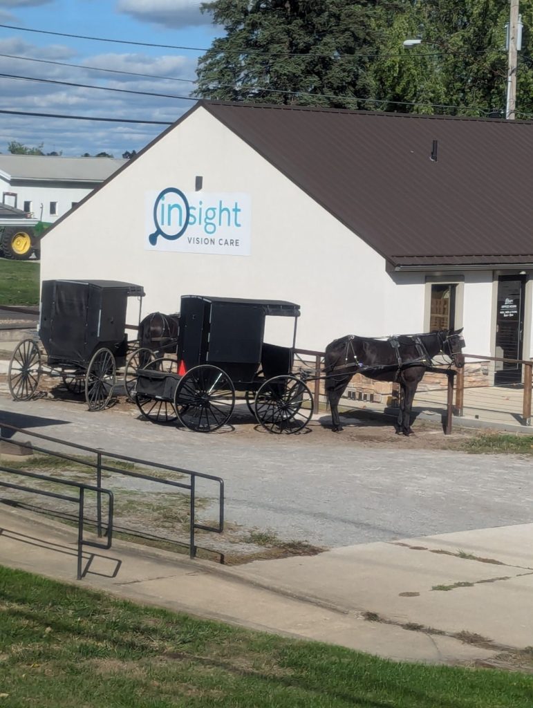 amish buggy