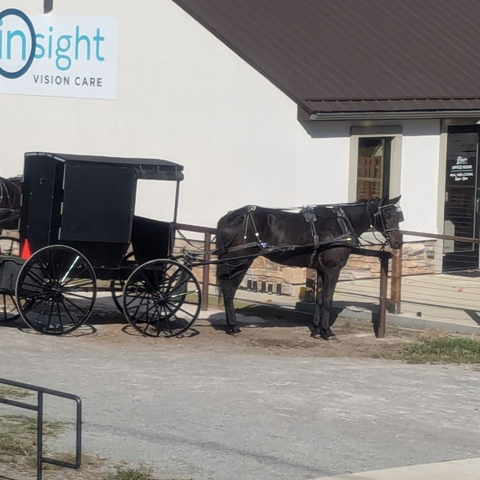 Great Lakes Cruise: Ohio Amish Country